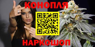 гашик Краснознаменск