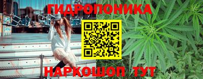 гашик Краснознаменск